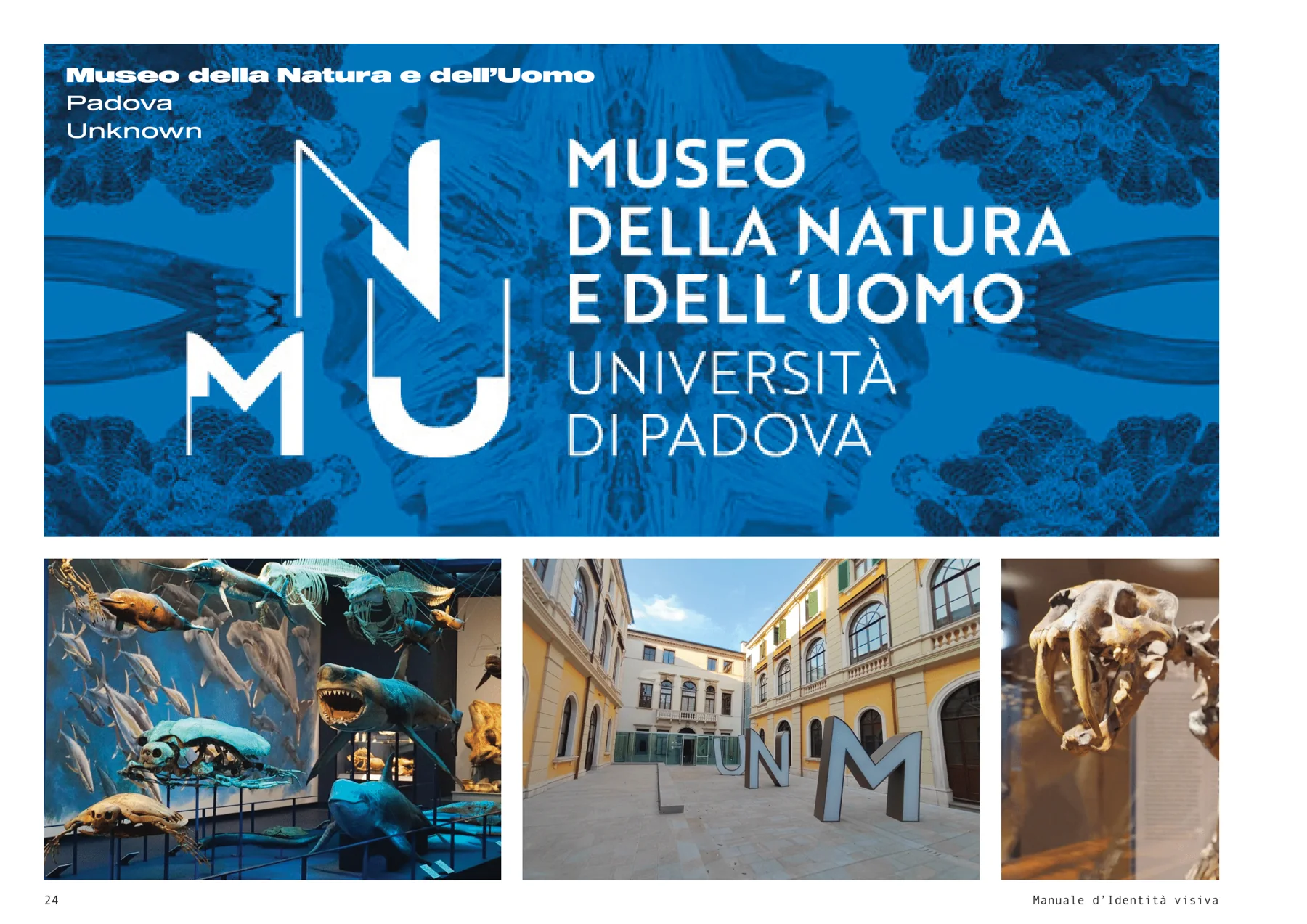 Museo Nazionale della Montagna di Torino, immagine 24